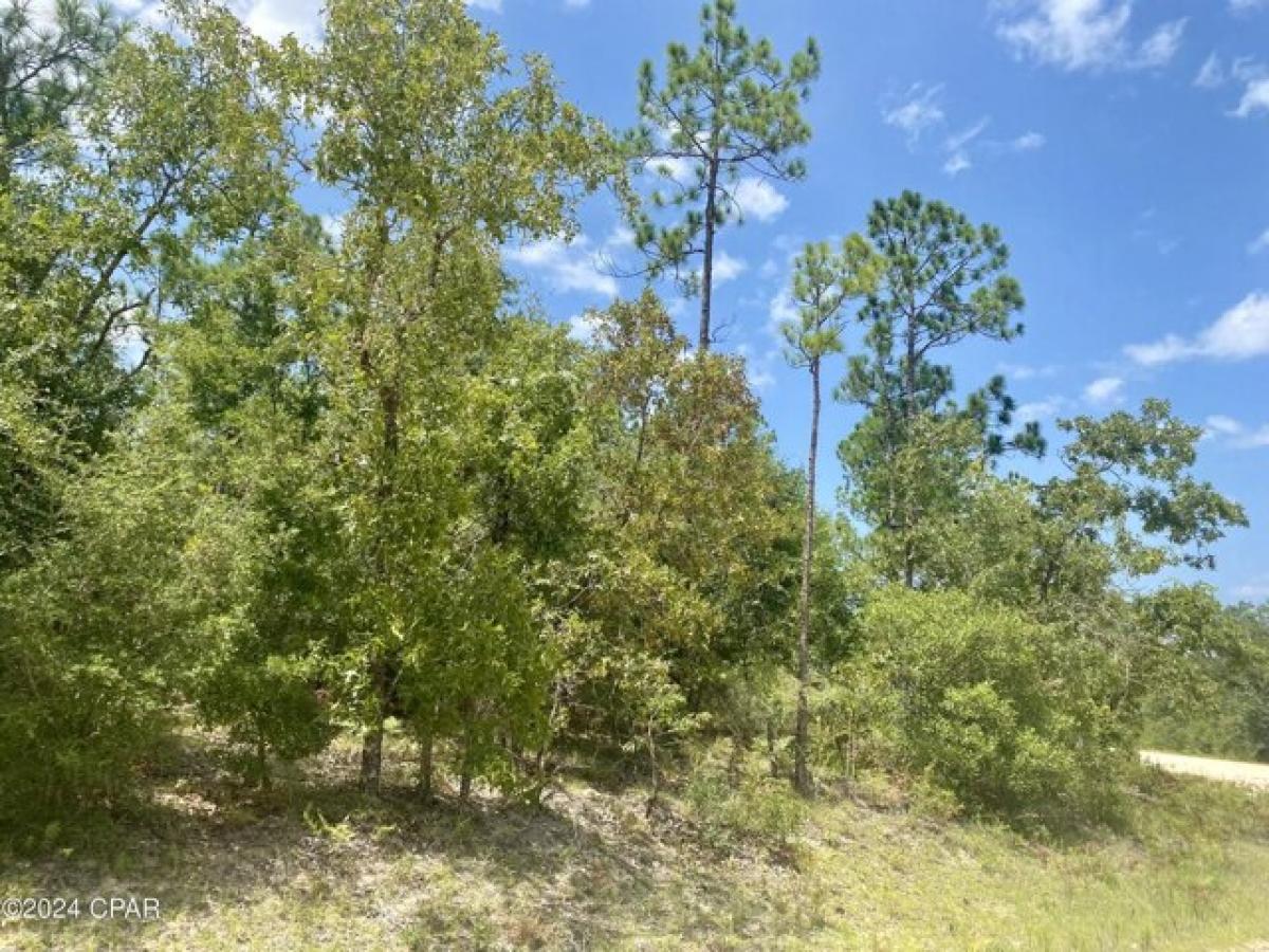 Picture of Residential Land For Sale in Alford, Florida, United States