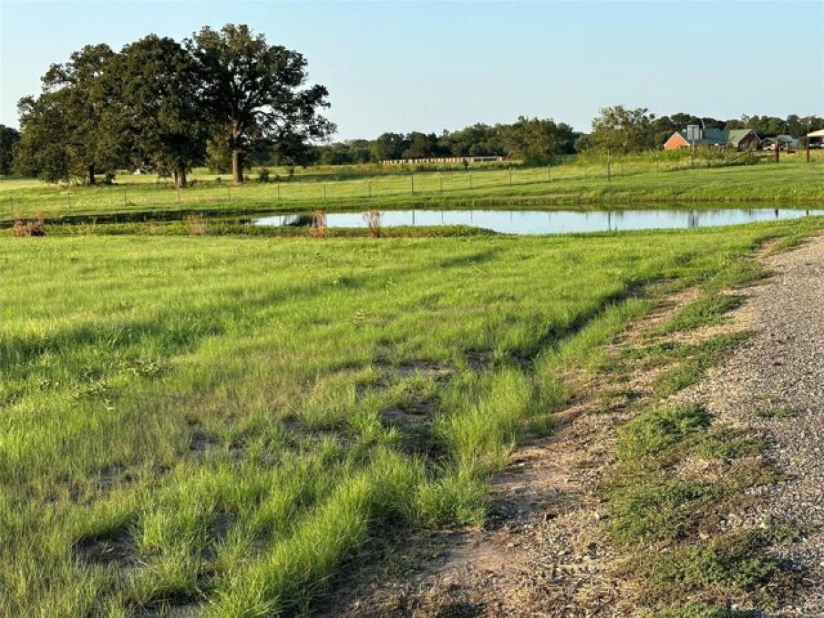 Picture of Residential Land For Sale in Mabank, Texas, United States