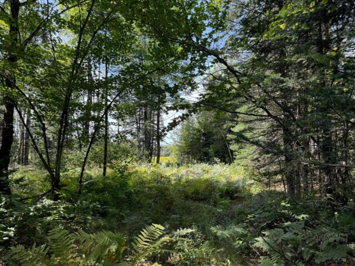 Picture of Residential Land For Sale in Plymouth, Maine, United States