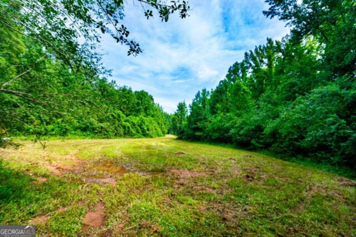 Picture of Residential Land For Sale in Lagrange, Georgia, United States