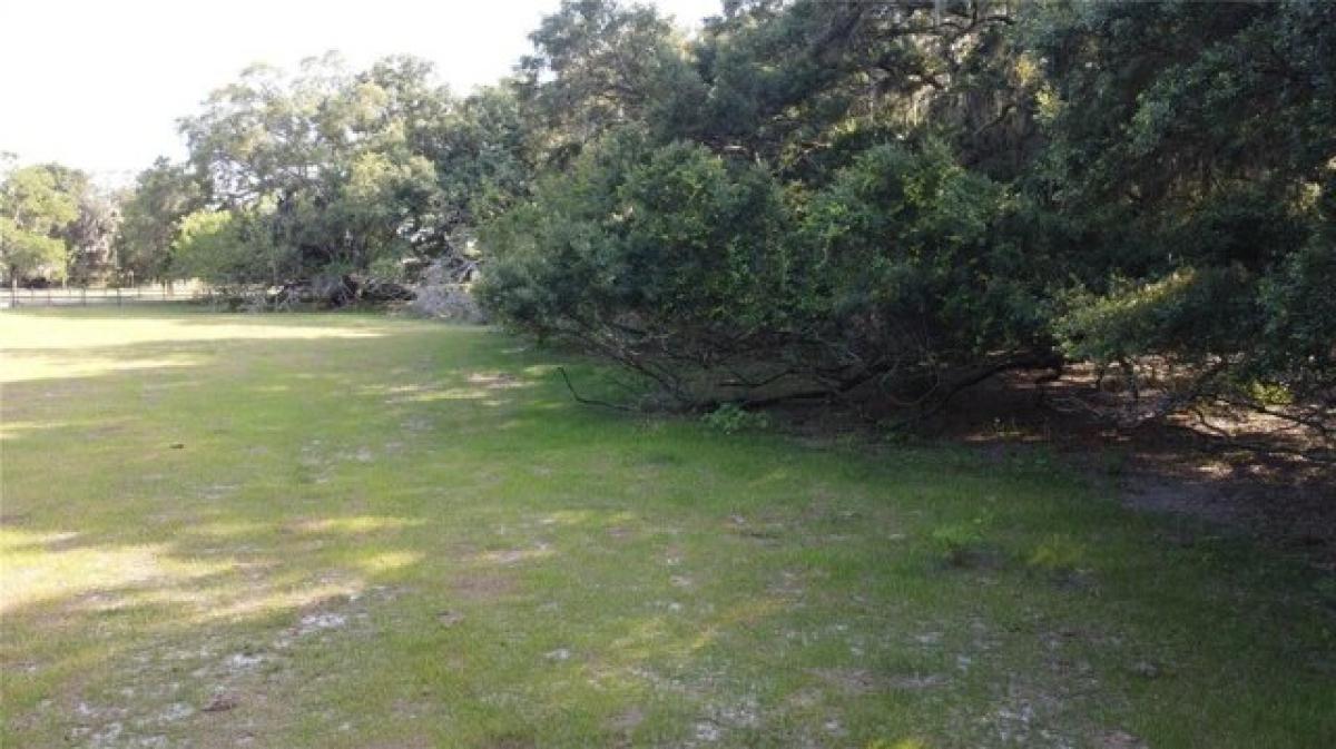 Picture of Residential Land For Sale in Brandon, Florida, United States