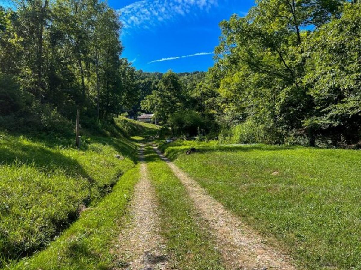 Picture of Home For Sale in Sutton, West Virginia, United States