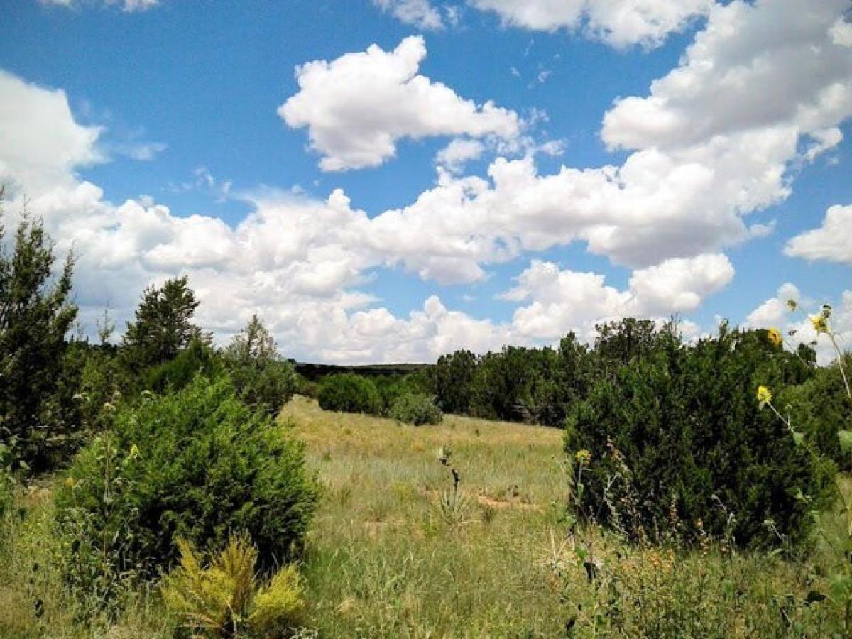 Picture of Residential Land For Sale in Edgewood, New Mexico, United States