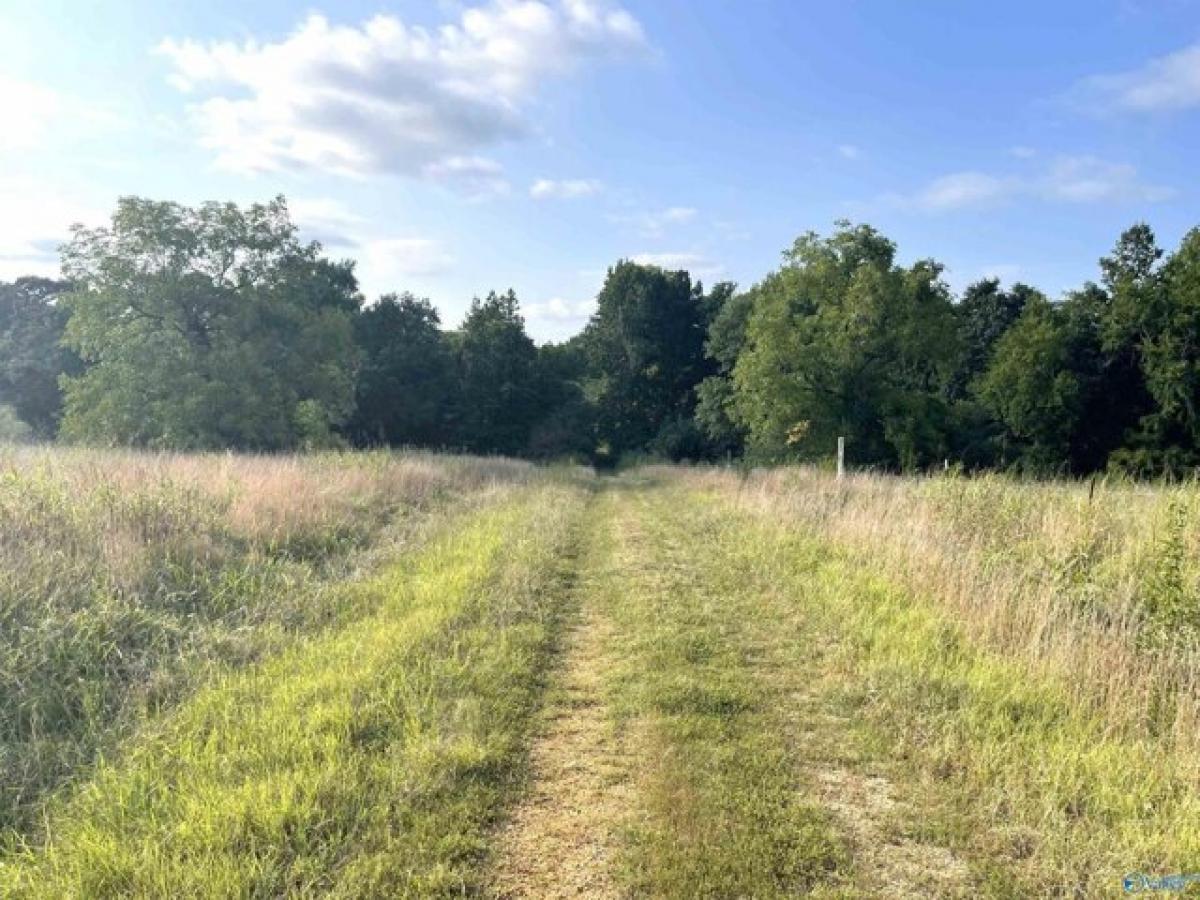 Picture of Residential Land For Sale in Lexington, Alabama, United States