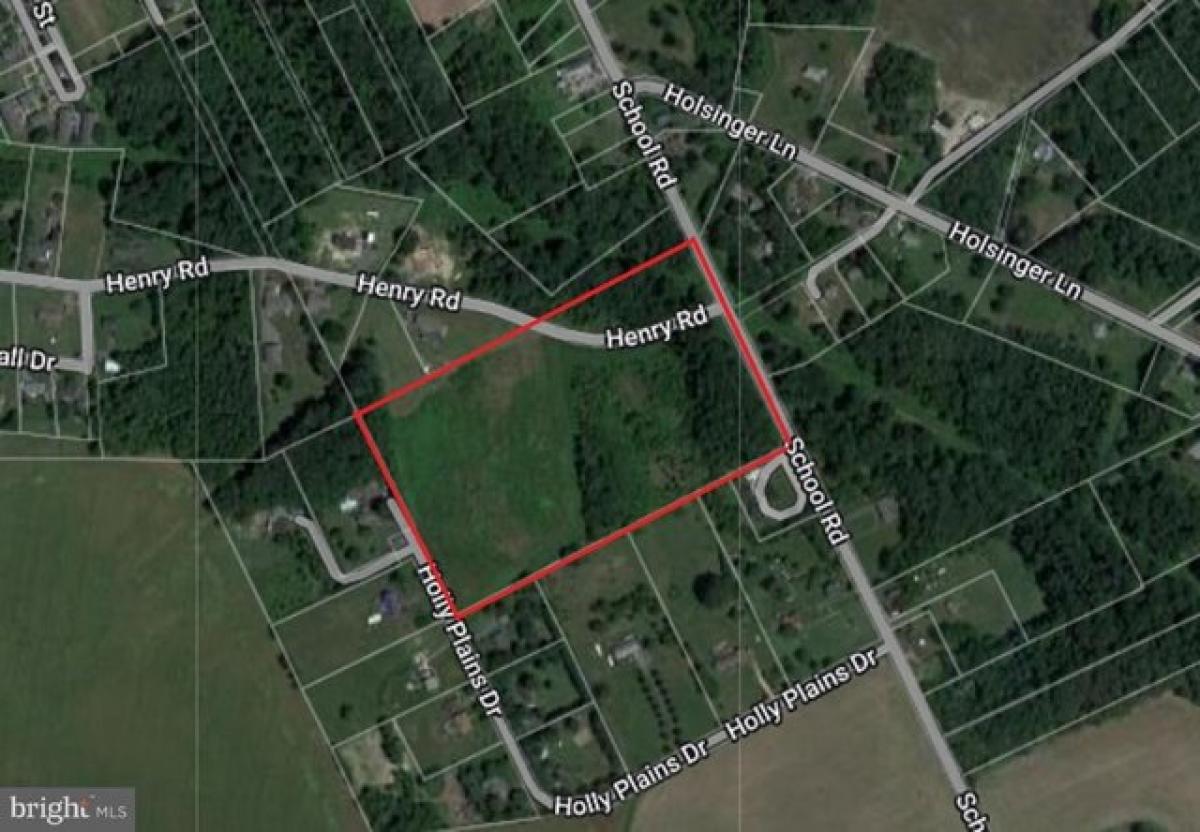 Picture of Residential Land For Sale in Ridgely, Maryland, United States