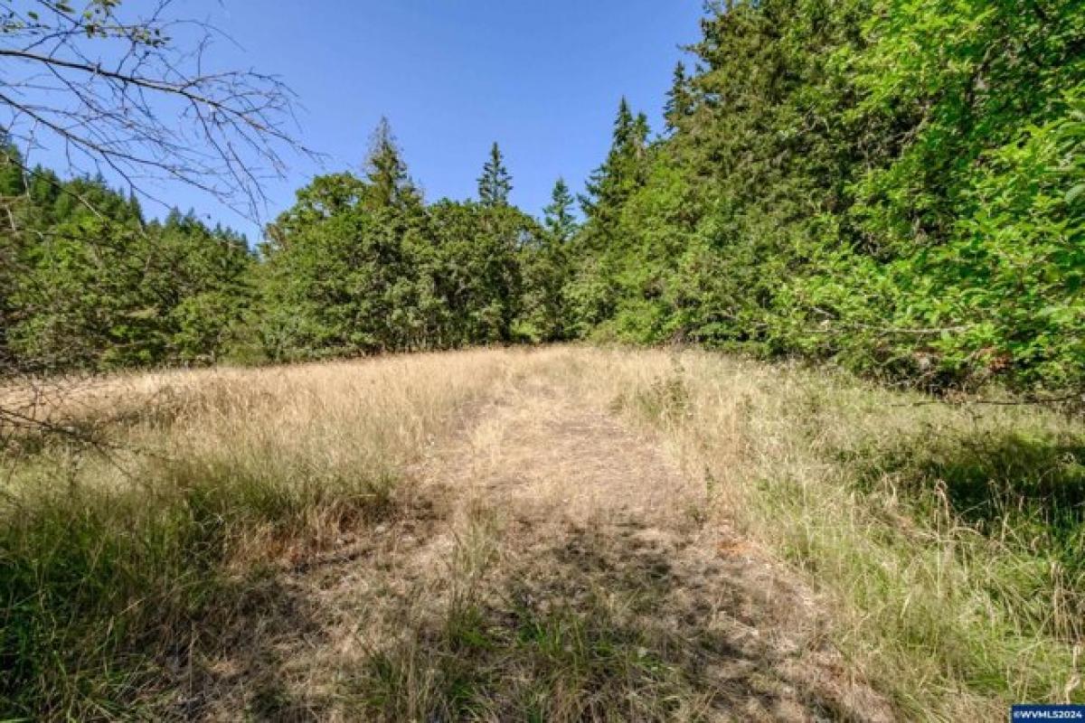 Picture of Residential Land For Sale in Brownsville, Oregon, United States