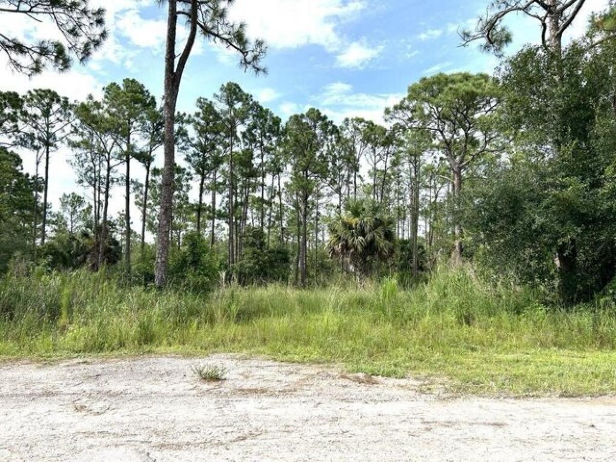 Picture of Residential Land For Sale in Clewiston, Florida, United States