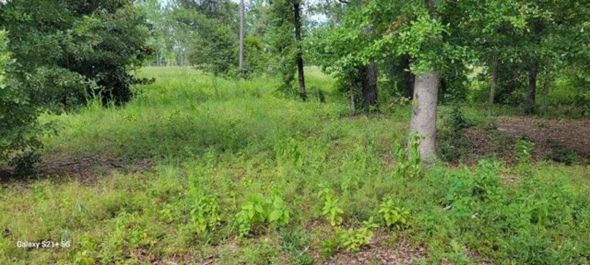 Picture of Residential Land For Sale in Donalsonville, Georgia, United States