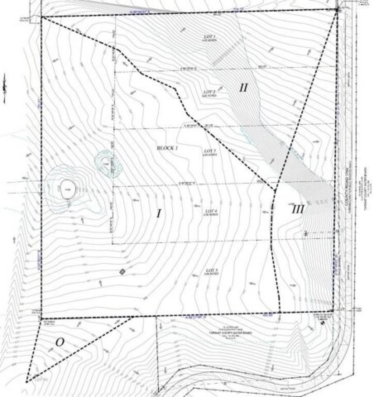 Picture of Residential Land For Sale in Chico, Texas, United States