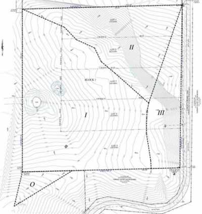 Residential Land For Sale in Chico, Texas