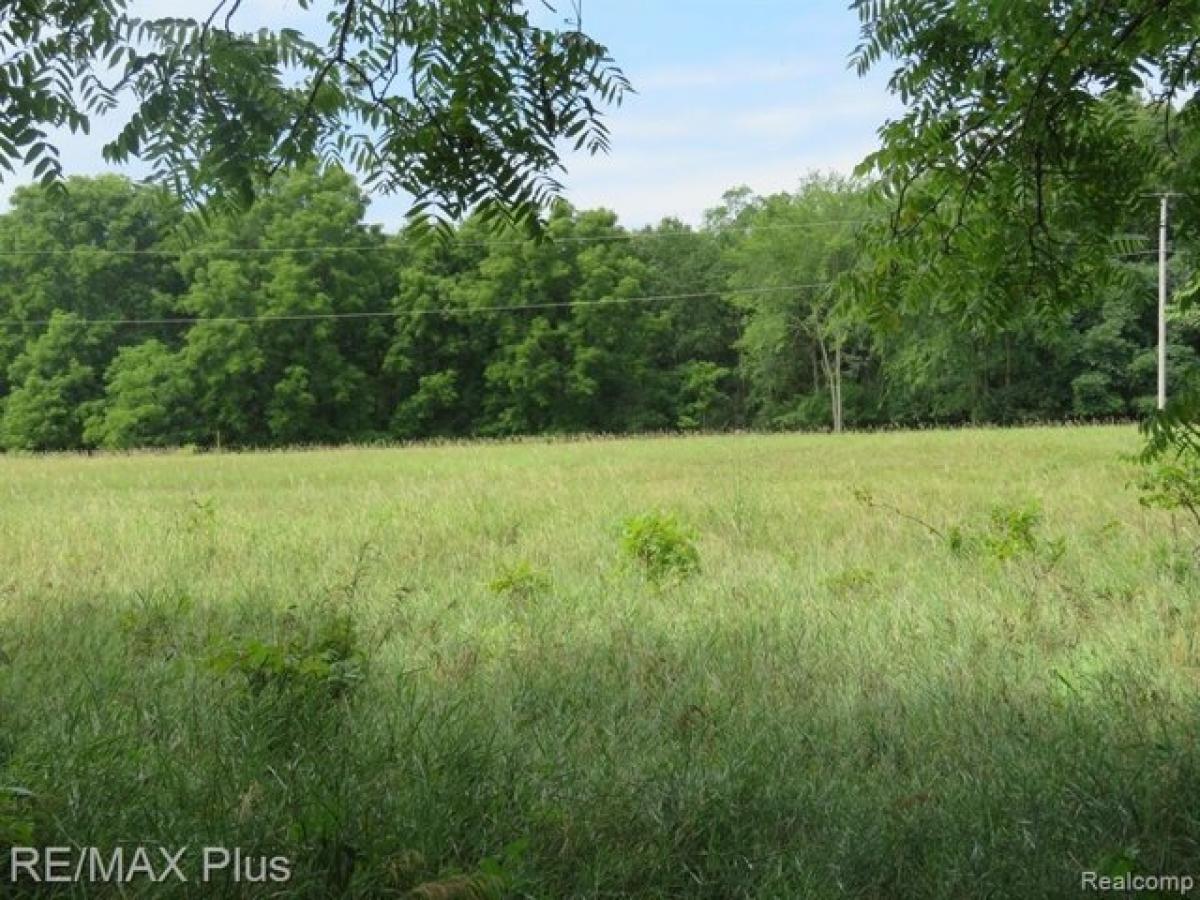 Picture of Residential Land For Sale in Lapeer, Michigan, United States