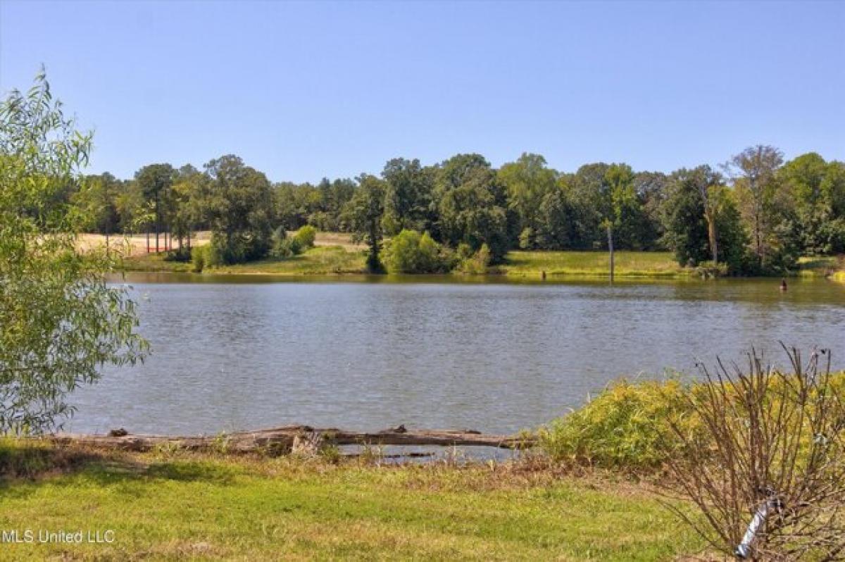 Picture of Residential Land For Sale in Hernando, Mississippi, United States