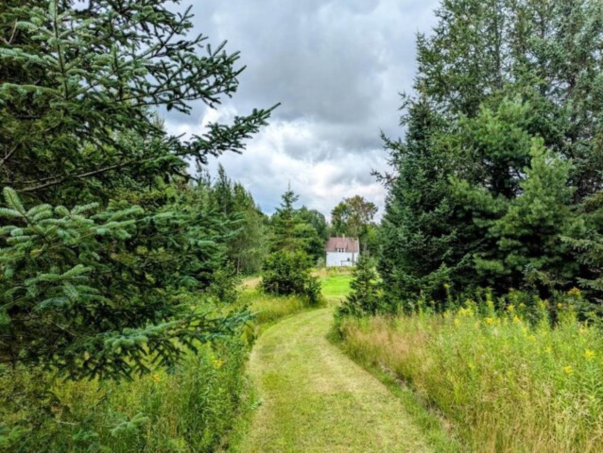 Picture of Home For Sale in Glidden, Wisconsin, United States