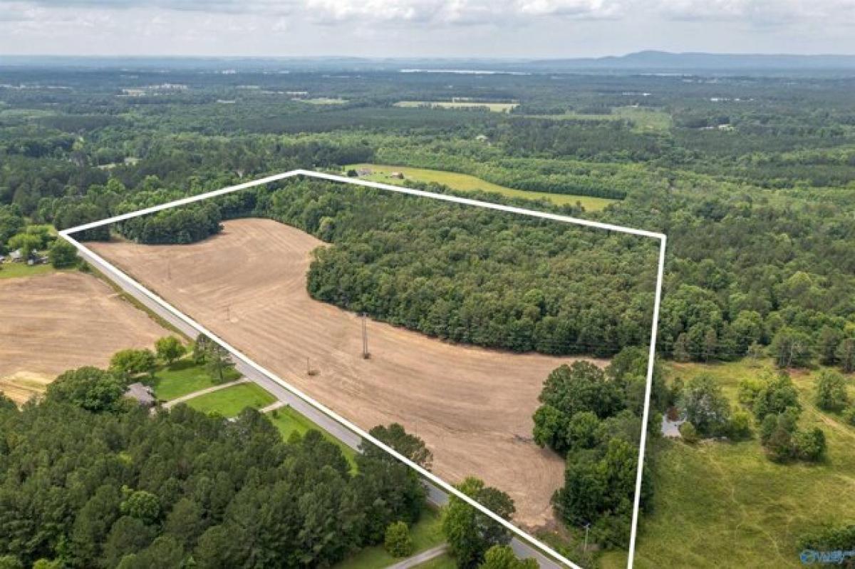 Picture of Residential Land For Sale in Centre, Alabama, United States