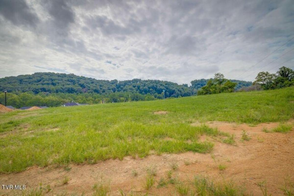 Picture of Residential Land For Sale in Kingsport, Tennessee, United States