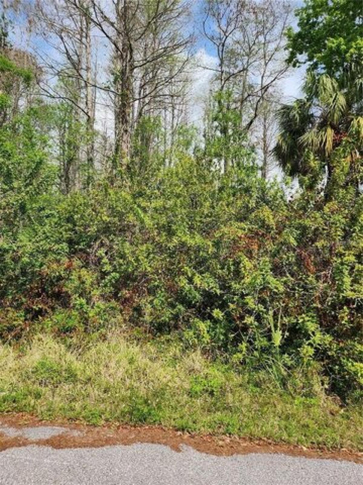 Picture of Residential Land For Sale in Hudson, Florida, United States