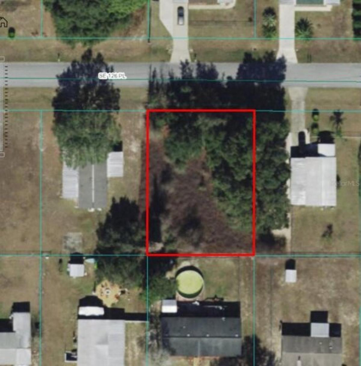 Picture of Residential Land For Sale in Belleview, Florida, United States