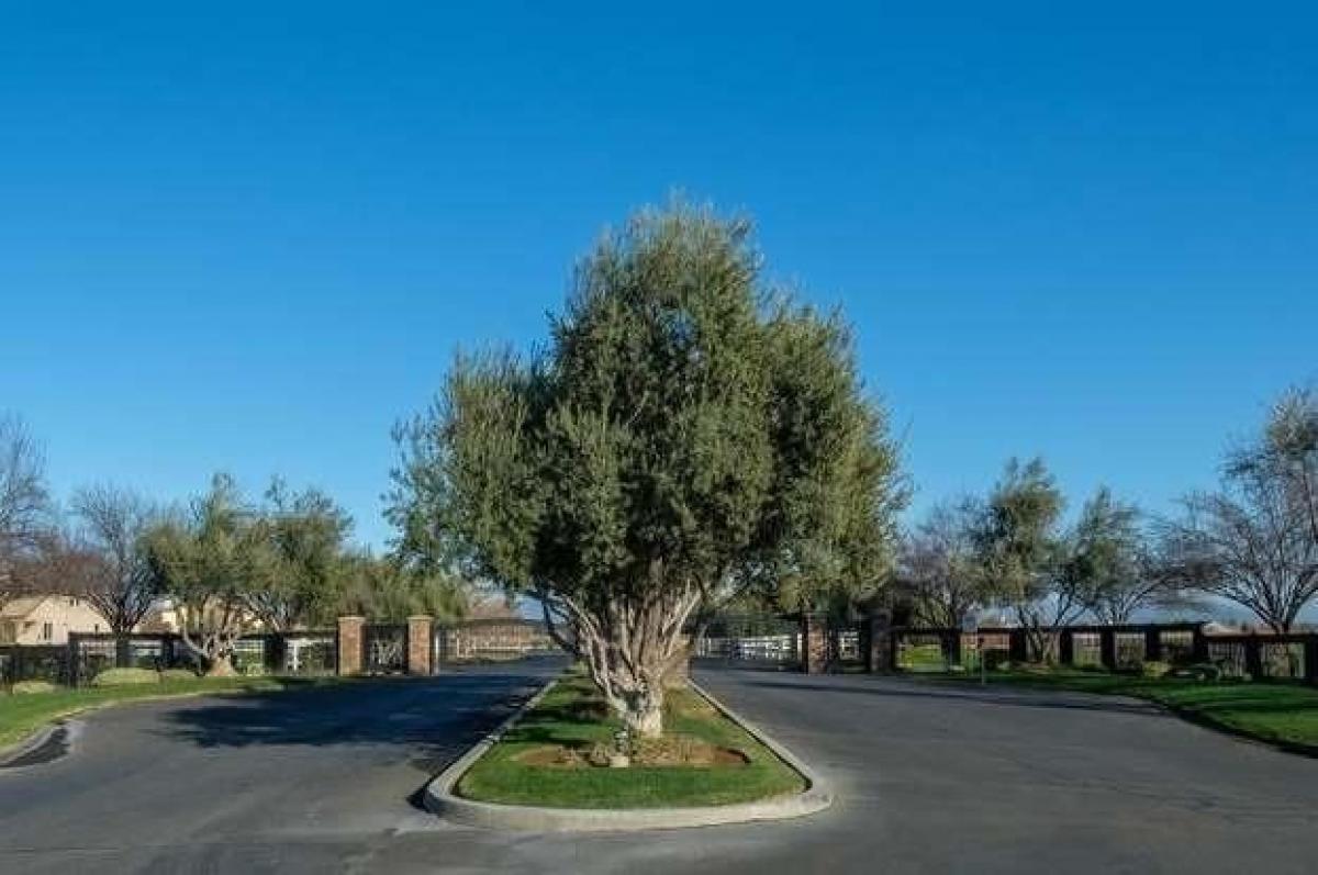 Picture of Residential Land For Sale in Sanger, California, United States