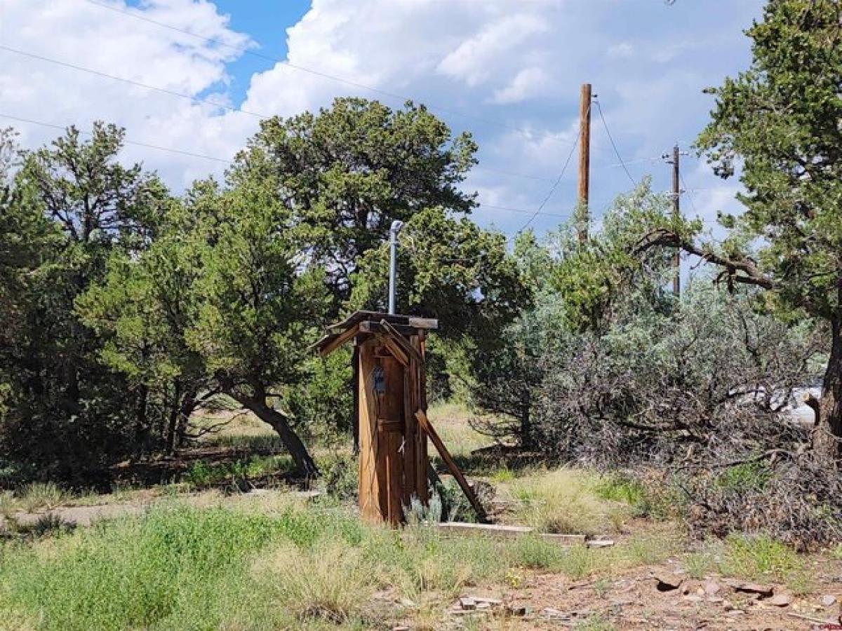 Picture of Residential Land For Sale in South Fork, Colorado, United States