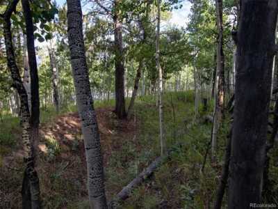 Residential Land For Sale in Alma, Colorado