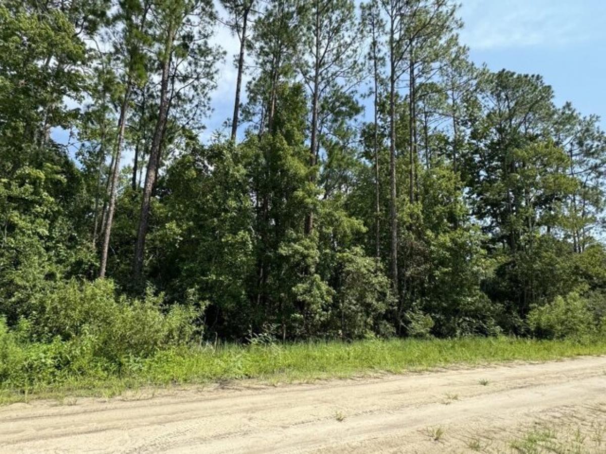 Picture of Residential Land For Rent in Satsuma, Florida, United States