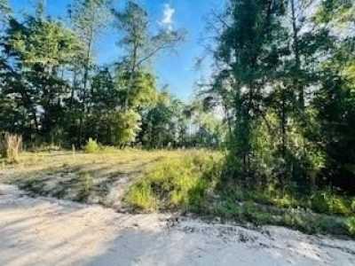 Residential Land For Sale in Bell, Florida