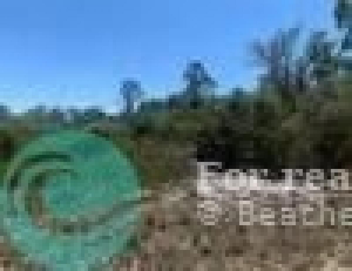 Picture of Residential Land For Sale in Avon Park, Florida, United States