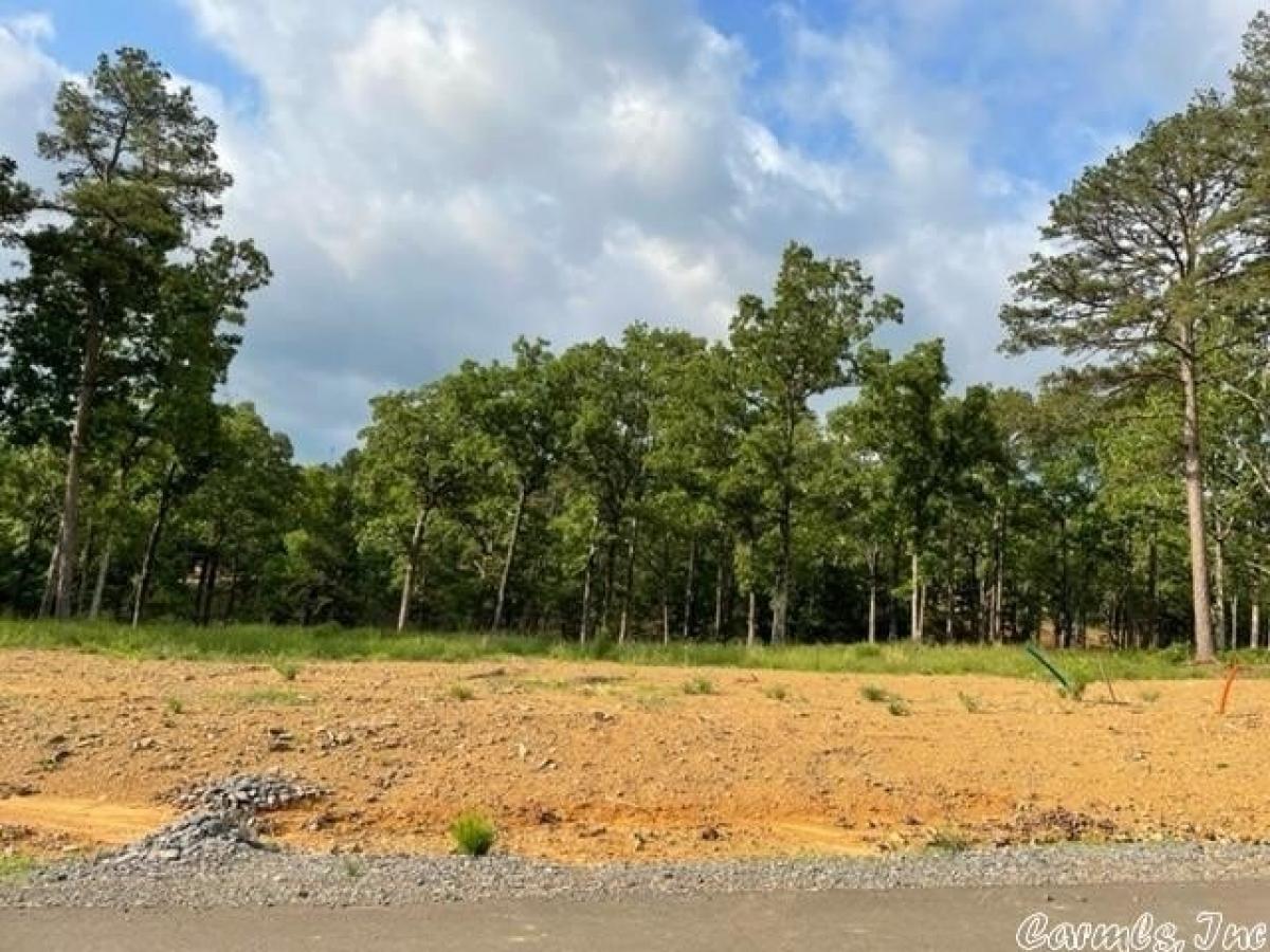 Picture of Residential Land For Sale in Conway, Arkansas, United States