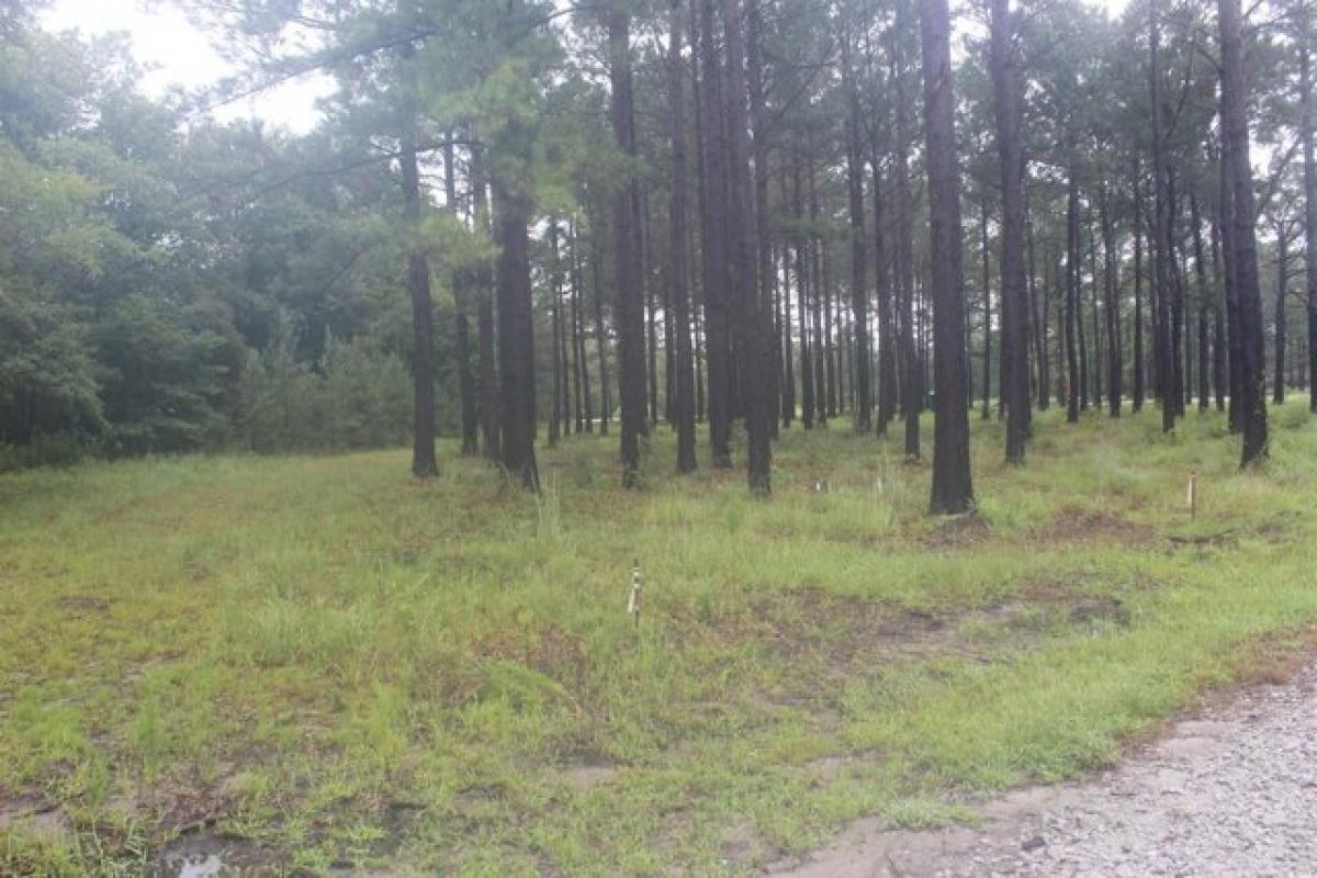 Picture of Residential Land For Sale in Loris, South Carolina, United States