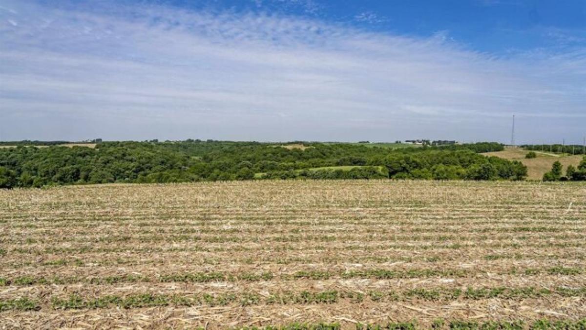 Picture of Residential Land For Sale in Hollandale, Wisconsin, United States