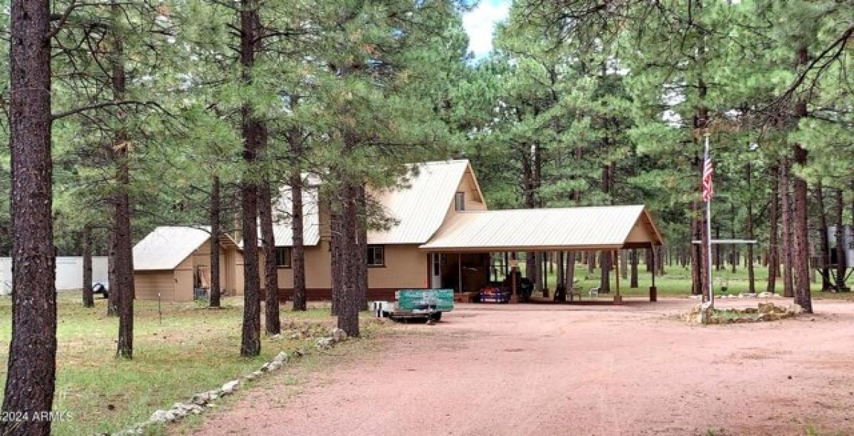 Picture of Home For Sale in Forest Lakes, Arizona, United States