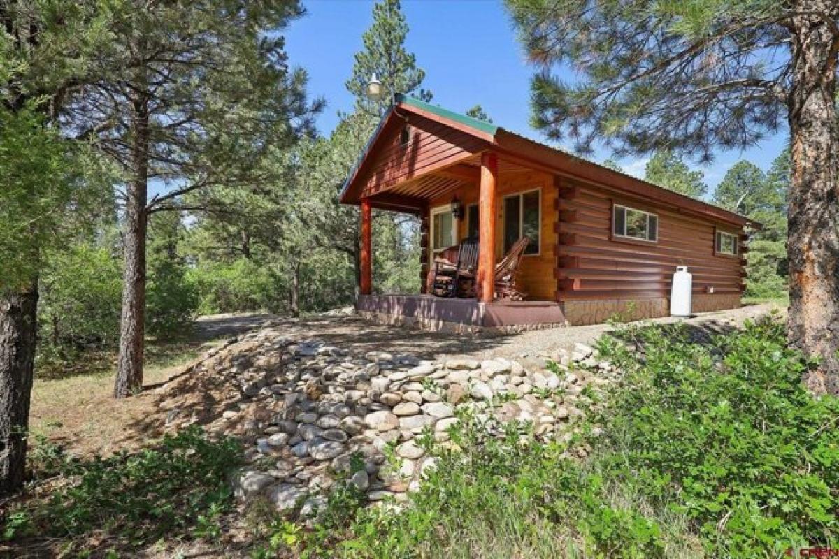 Picture of Home For Sale in Mancos, Colorado, United States