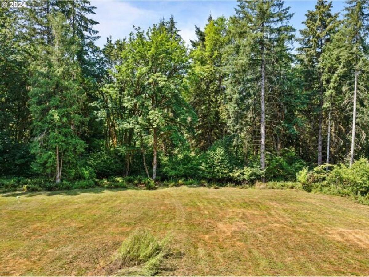 Picture of Residential Land For Sale in Toledo, Washington, United States