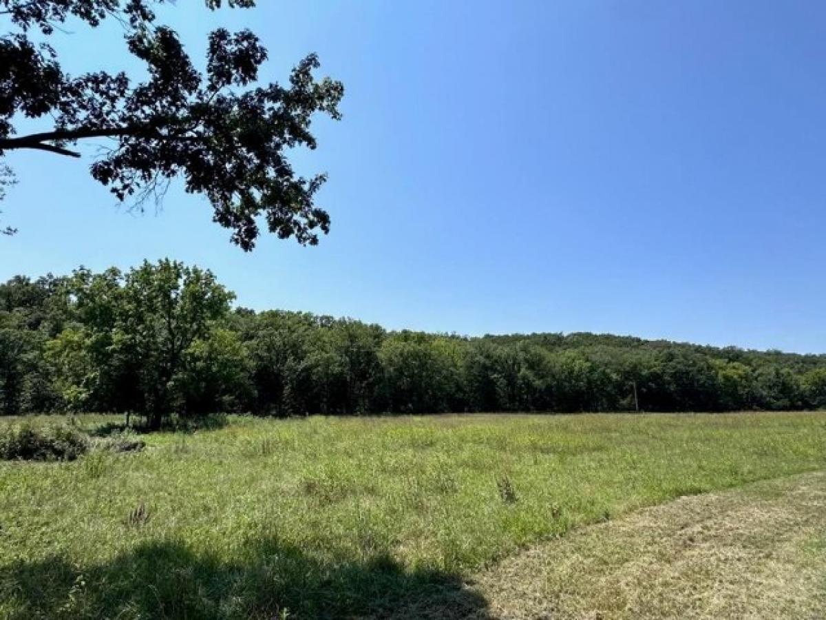 Picture of Residential Land For Sale in Festus, Missouri, United States