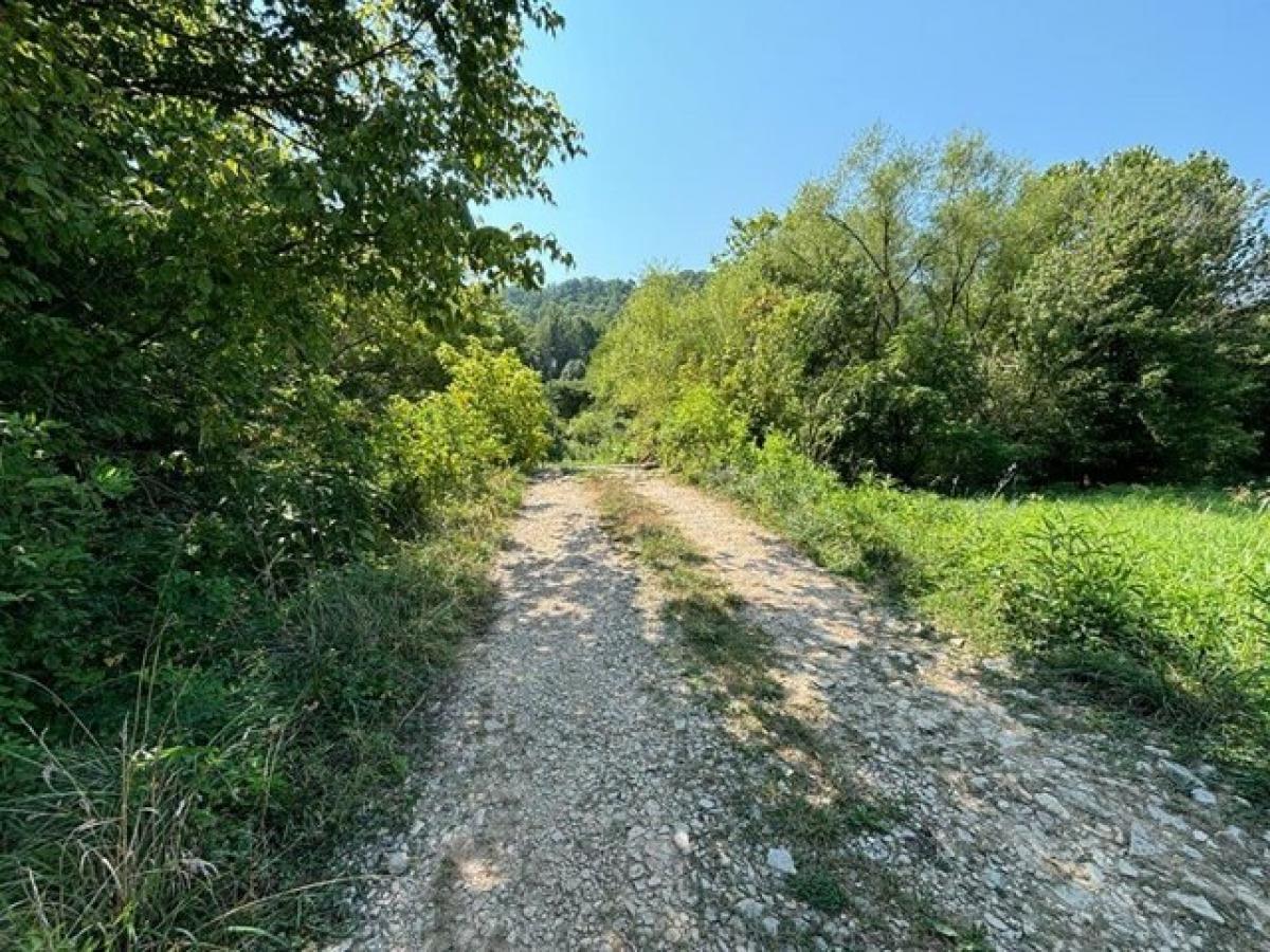 Picture of Home For Sale in Reedy, West Virginia, United States