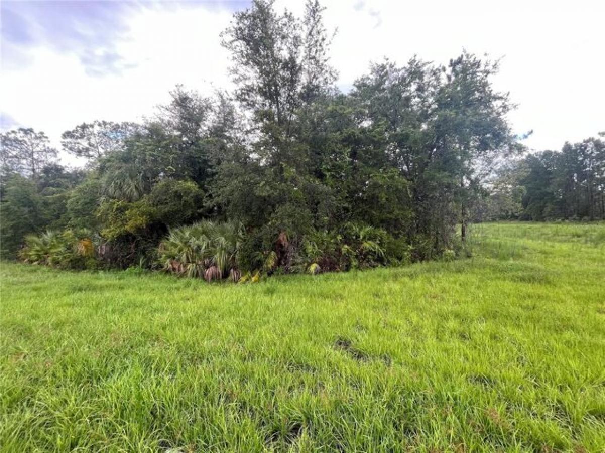 Picture of Residential Land For Sale in Palatka, Florida, United States