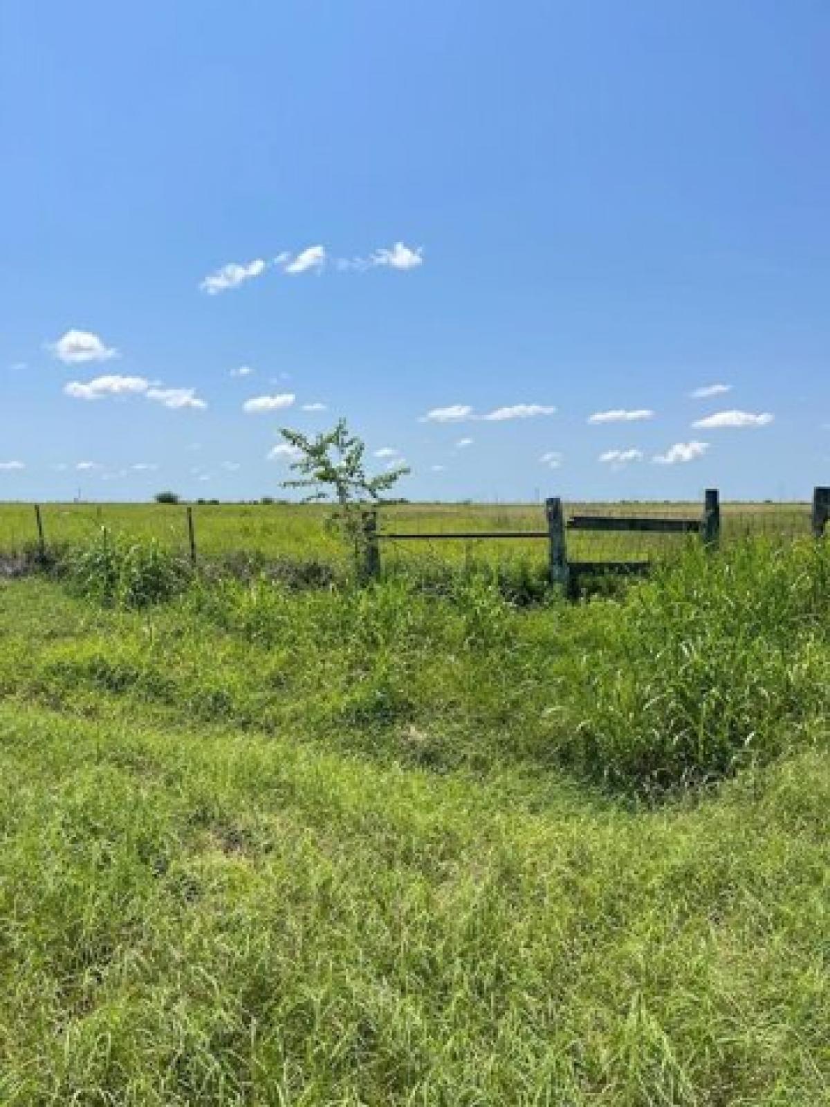 Picture of Residential Land For Sale in Woodsboro, Texas, United States