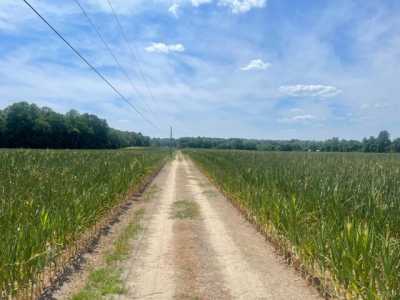 Residential Land For Sale in 