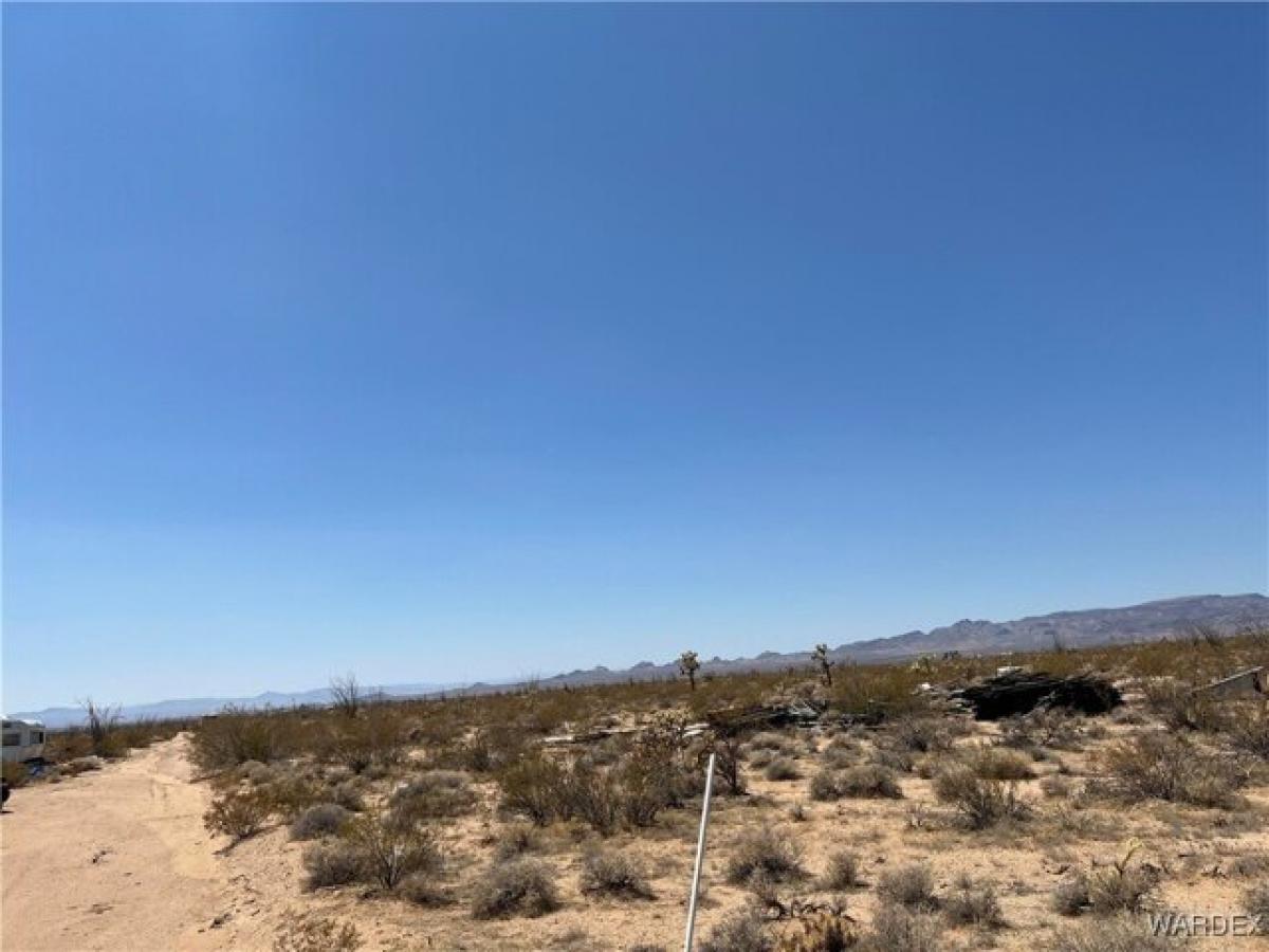 Picture of Residential Land For Sale in Yucca, Arizona, United States