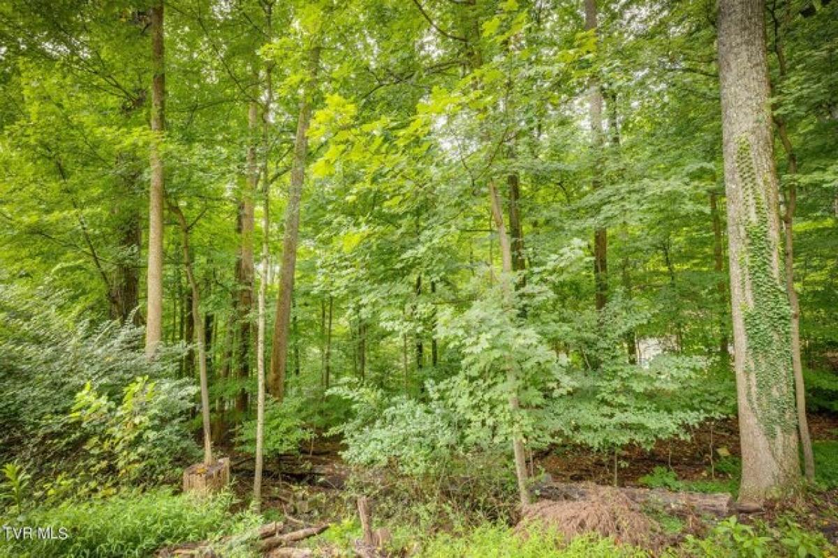 Picture of Residential Land For Sale in Kingsport, Tennessee, United States