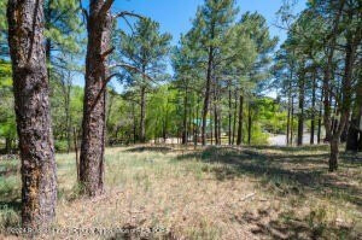 Picture of Residential Land For Sale in Ruidoso, New Mexico, United States