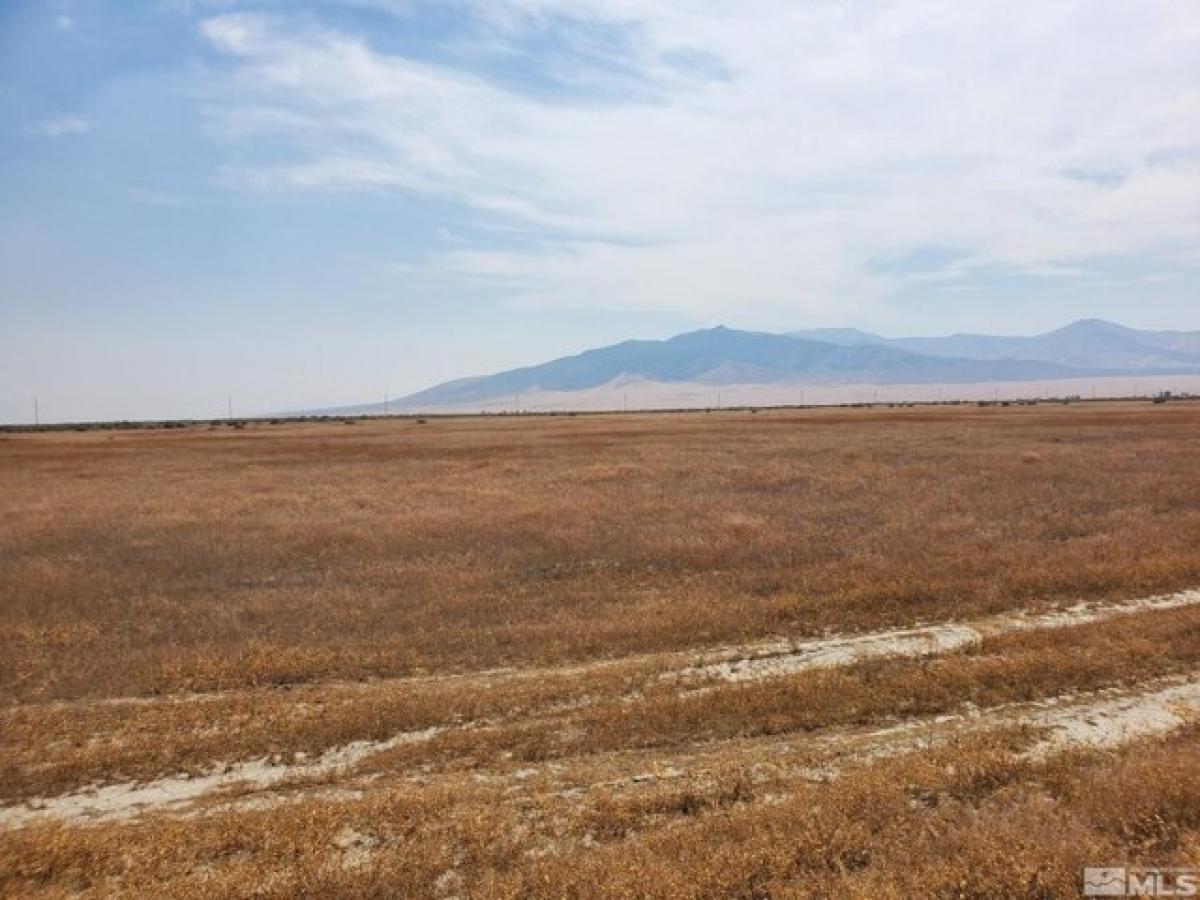 Picture of Residential Land For Sale in Winnemucca, Nevada, United States