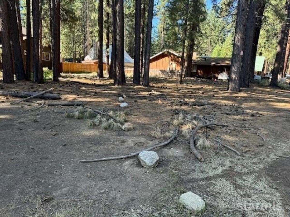 Picture of Residential Land For Sale in South Lake Tahoe, California, United States