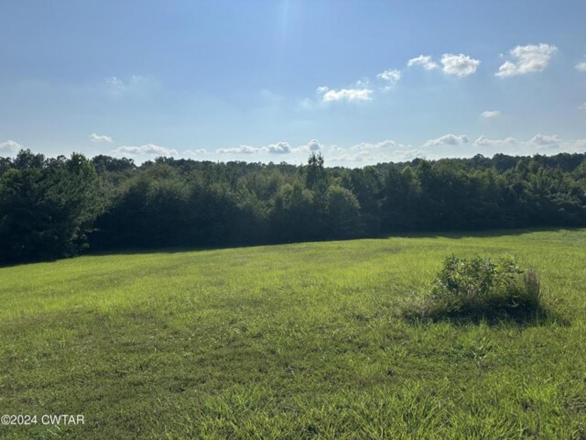 Picture of Residential Land For Sale in Henderson, Tennessee, United States