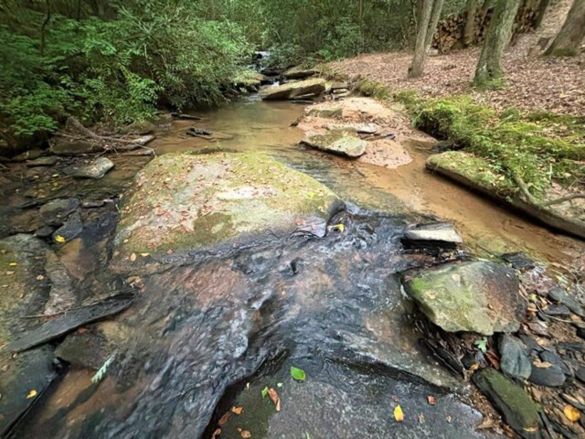 Picture of Residential Land For Sale in Mineral Bluff, Georgia, United States