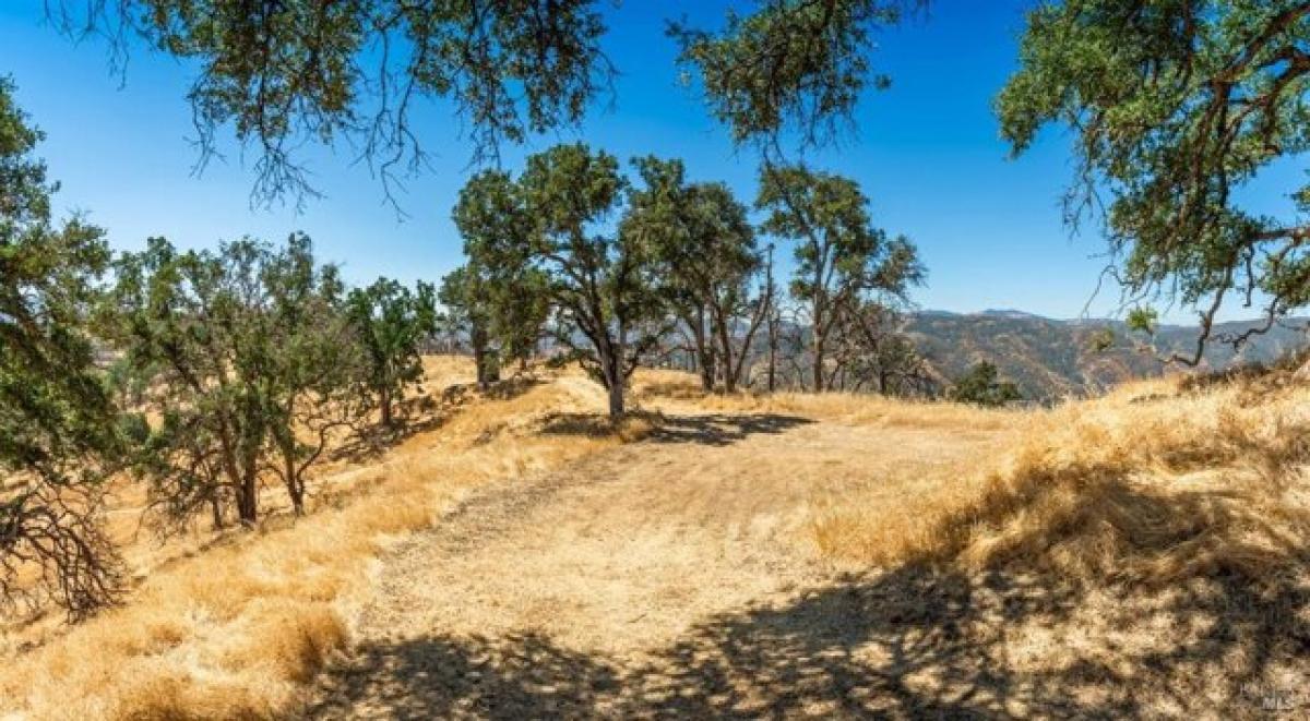 Picture of Residential Land For Sale in Napa, California, United States