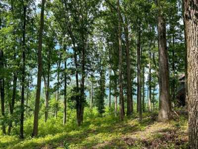 Residential Land For Sale in Blairsville, Georgia