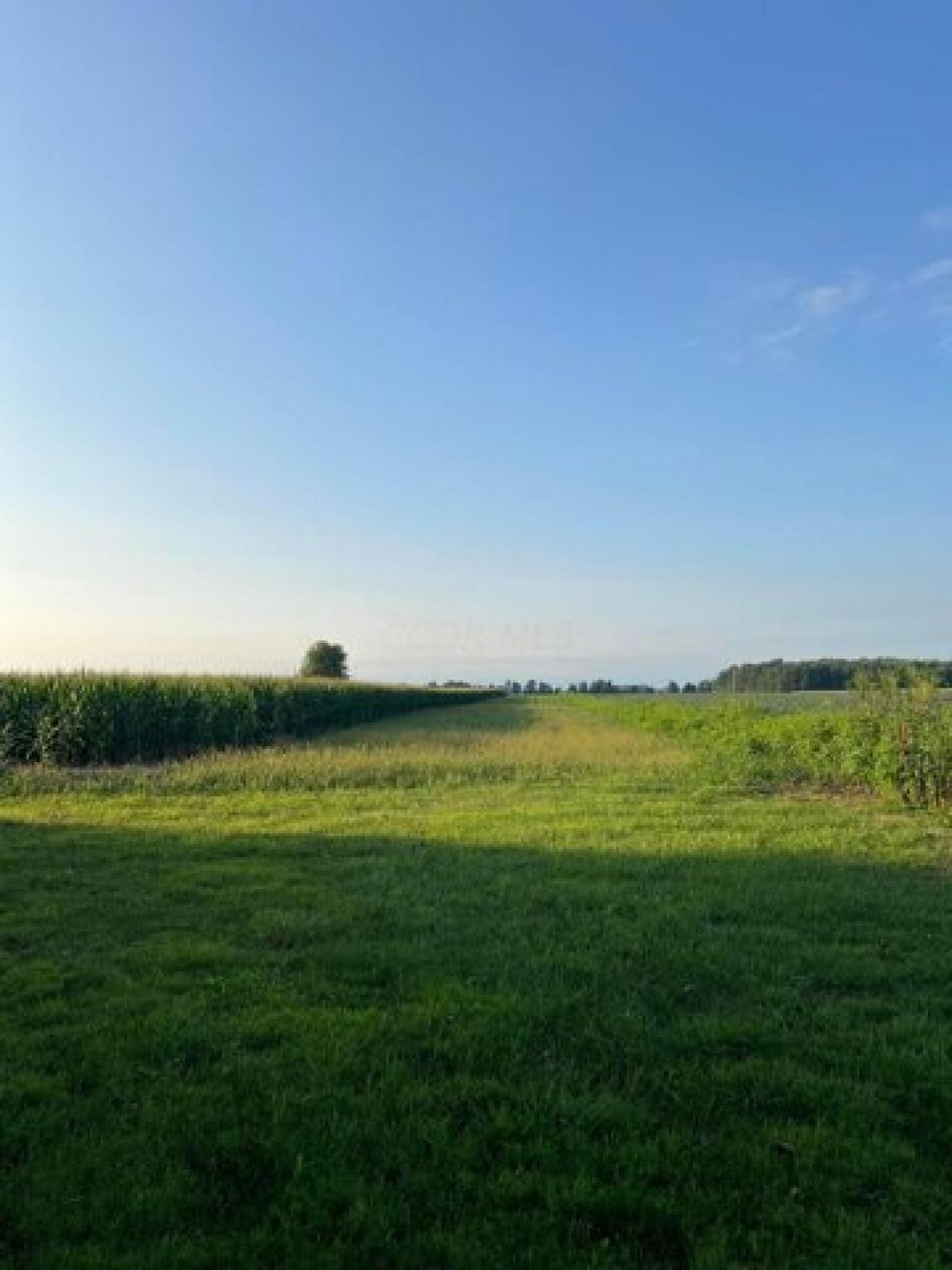 Picture of Home For Sale in Radnor, Ohio, United States