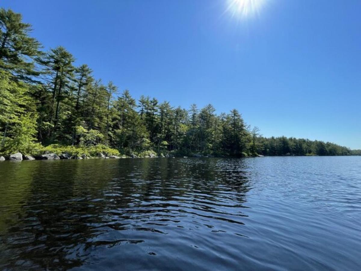 Picture of Residential Land For Sale in Orland, Maine, United States