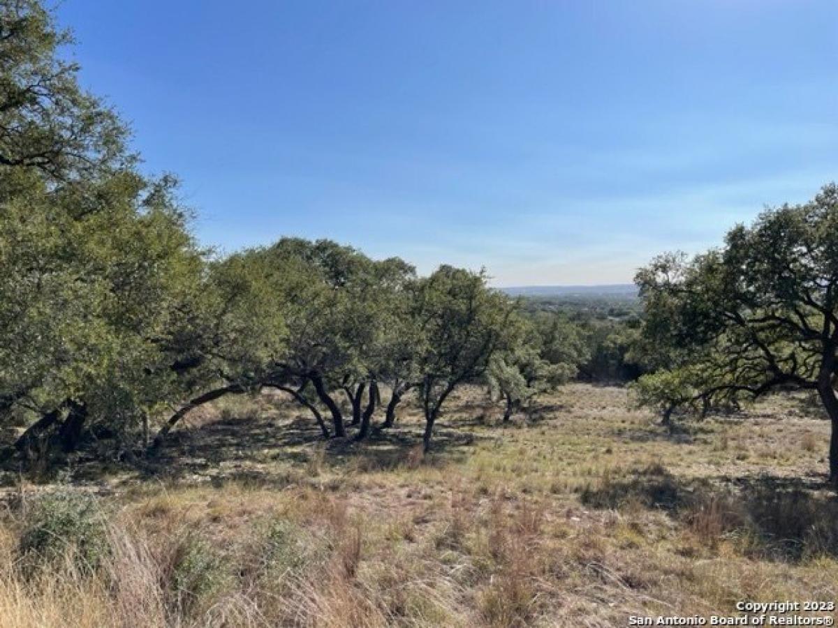 Picture of Residential Land For Sale in Fischer, Texas, United States